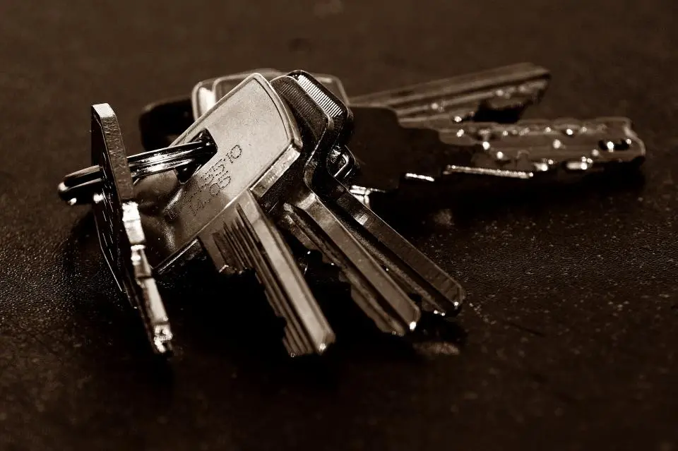 Leasing Operations in Romania