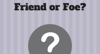 Internal Audit in Romania