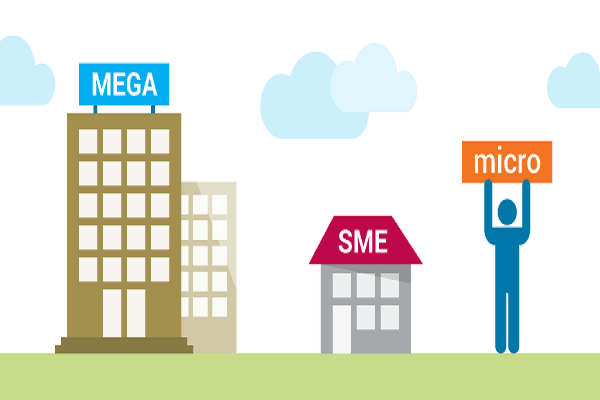 Micro-company Romania