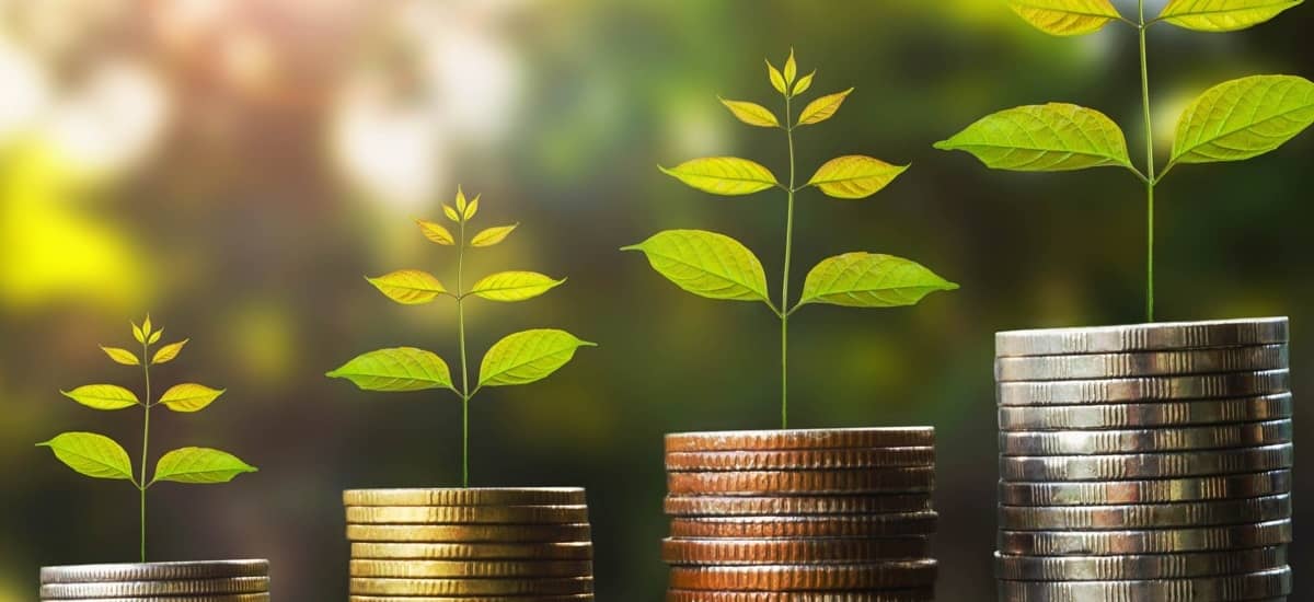 Set-up NGO Romania img