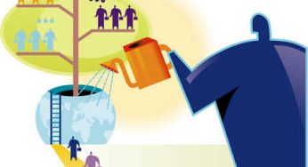 Company Subsidiary vs. Company Branch