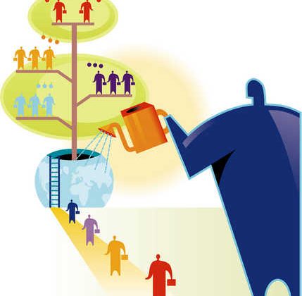 Company Subsidiary vs. Company Branch